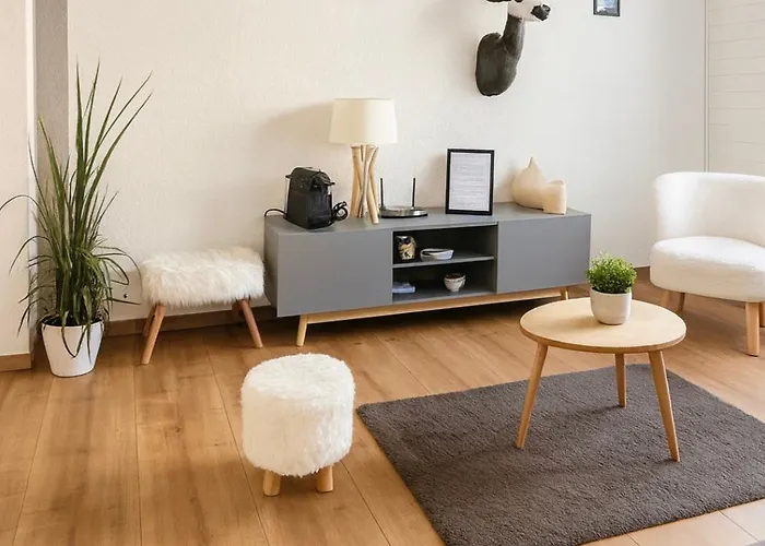 Au Coeur Des Alpes Et Parking Gratuit * 克莱恩 蒙塔纳