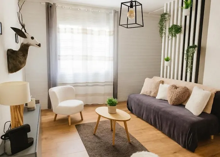 公寓 Au Coeur Des Alpes Et Parking Gratuit